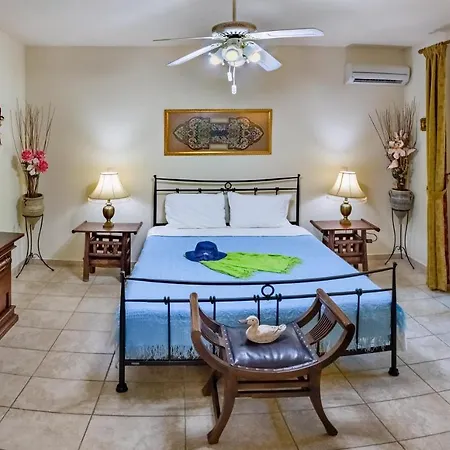 Lefkas Blue Apartment Lefkada City